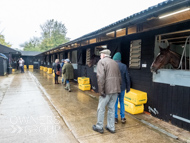 AK071124-123 - Alan King Stable Visit